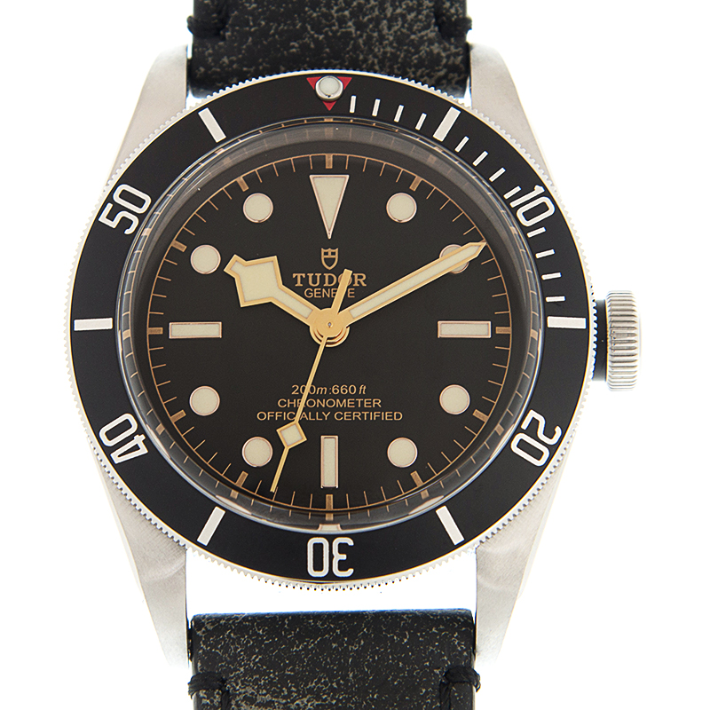 NEW TUDOR BLACK BAY 41 79230N-0008